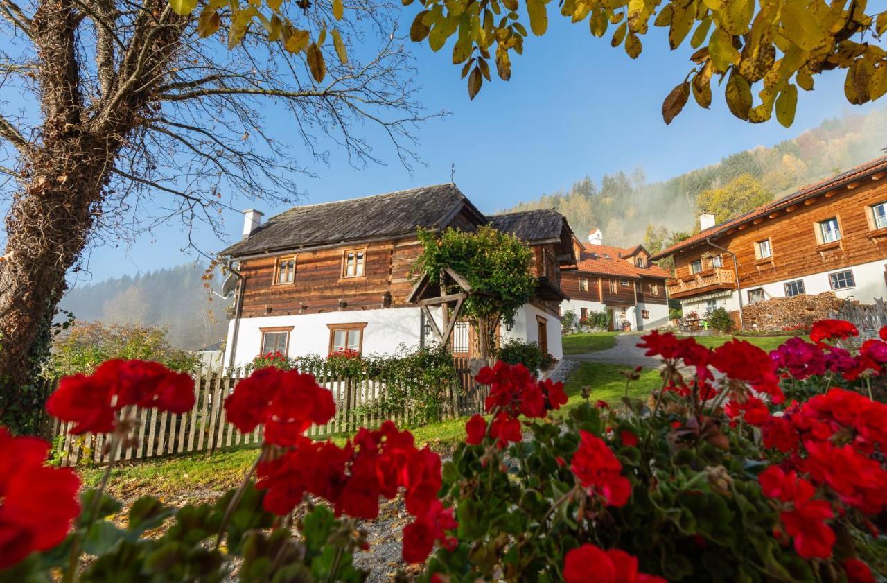 Troadkasten - Ferienhaus Am Bio-Bergbauernhof Aflenz Kurort Exterior foto