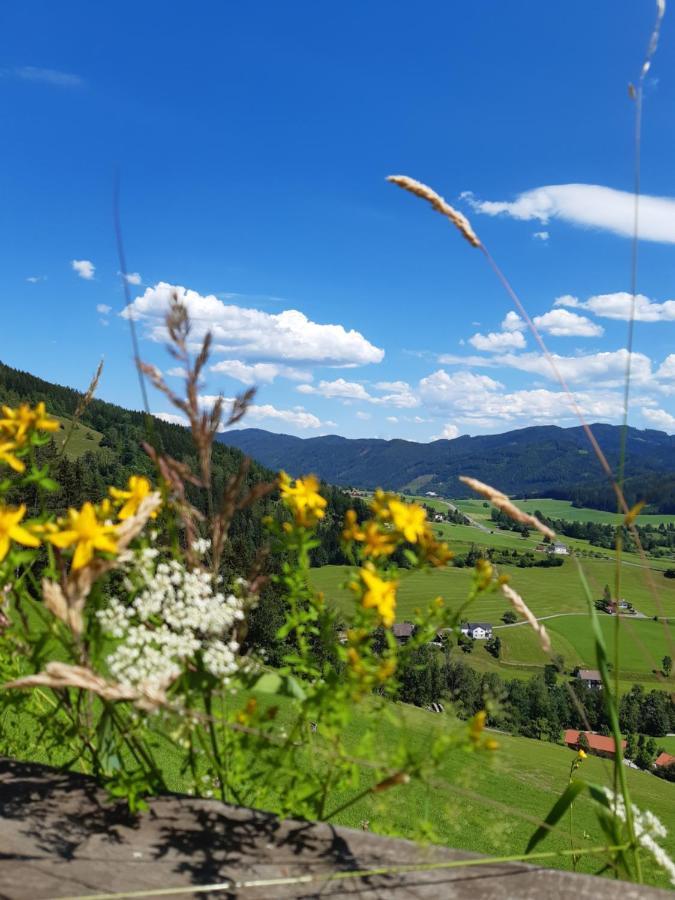 Troadkasten - Ferienhaus Am Bio-Bergbauernhof Aflenz Kurort Exterior foto