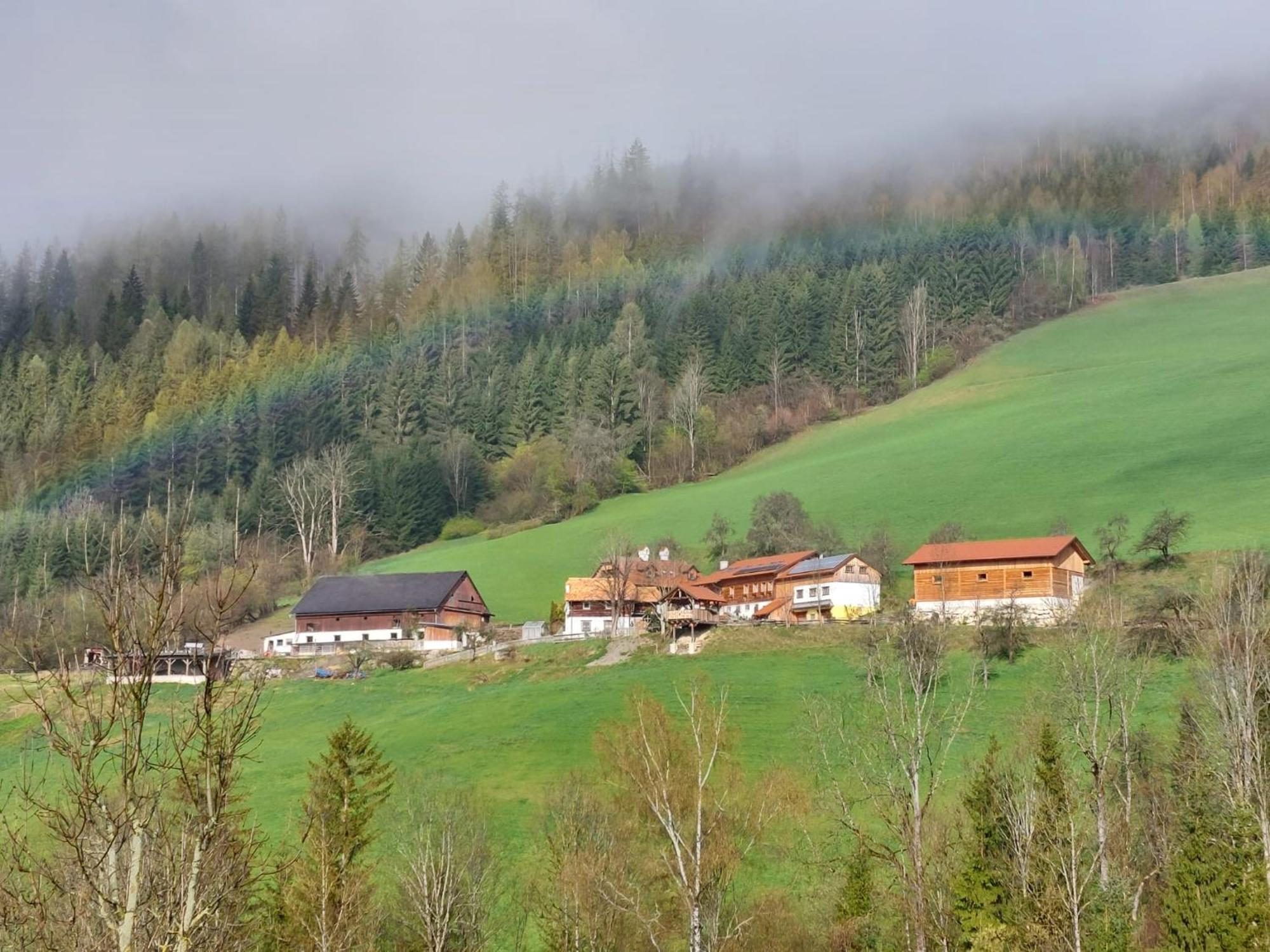 Troadkasten - Ferienhaus Am Bio-Bergbauernhof Aflenz Kurort Exterior foto